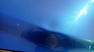 Used 2017 Maruti Suzuki Celerio [2014-2021] ZXi (O) Petrol Manual dents MINOR DENT